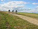 South Downs Way 0015.JPG